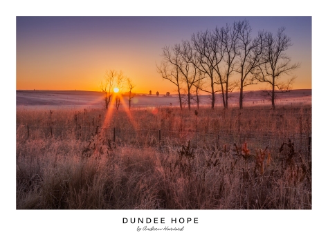 Dundee Hope