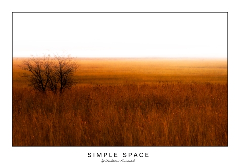 Simple-Space